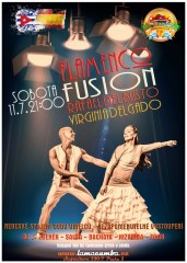 20150711-flamenco-fusion-800